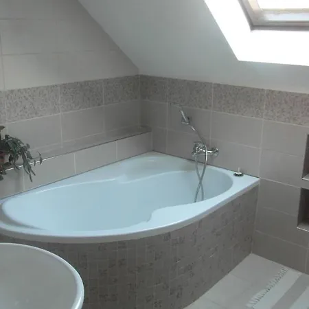 Rychtrovna Appartement *