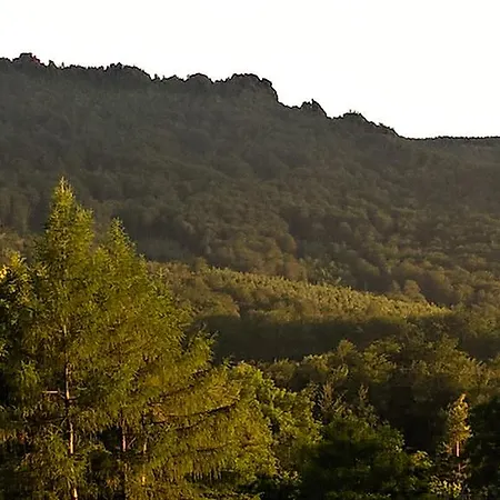 Rychtrovna Hejnice (Liberec)
