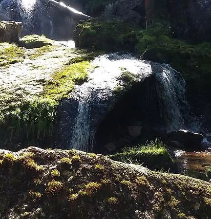 Rychtrovna هينيتسه