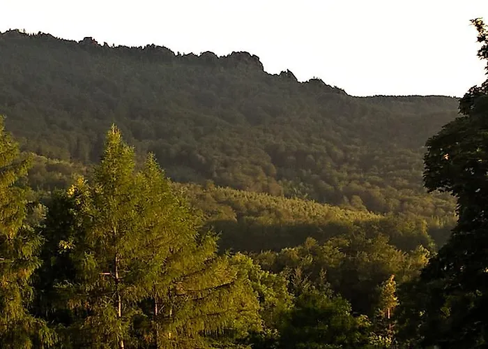 Rychtrovna Hejnice (Liberec)